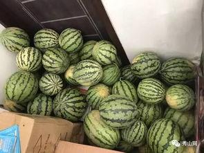 瓜哥吃瓜群,揭秘网络热议背后的真实故事