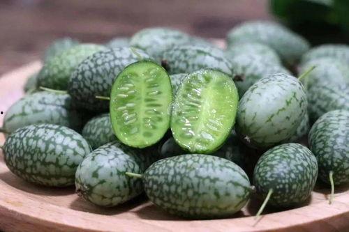 银瓜怎么吃,解锁美味新体验