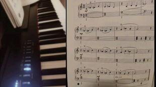 成人钢琴教程视频,成人钢琴学习指南