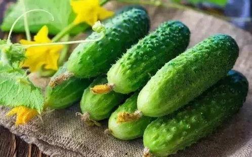 春吃芽夏吃瓜,春芽夏瓜，顺应时节养生之道